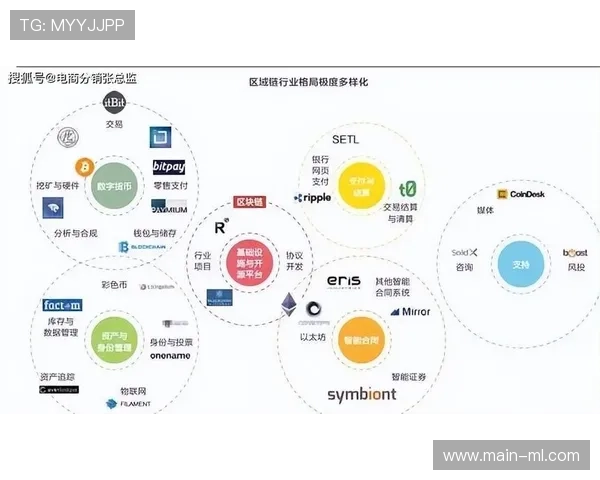 区块链技术应用于赛事版权保护与收益分配环节